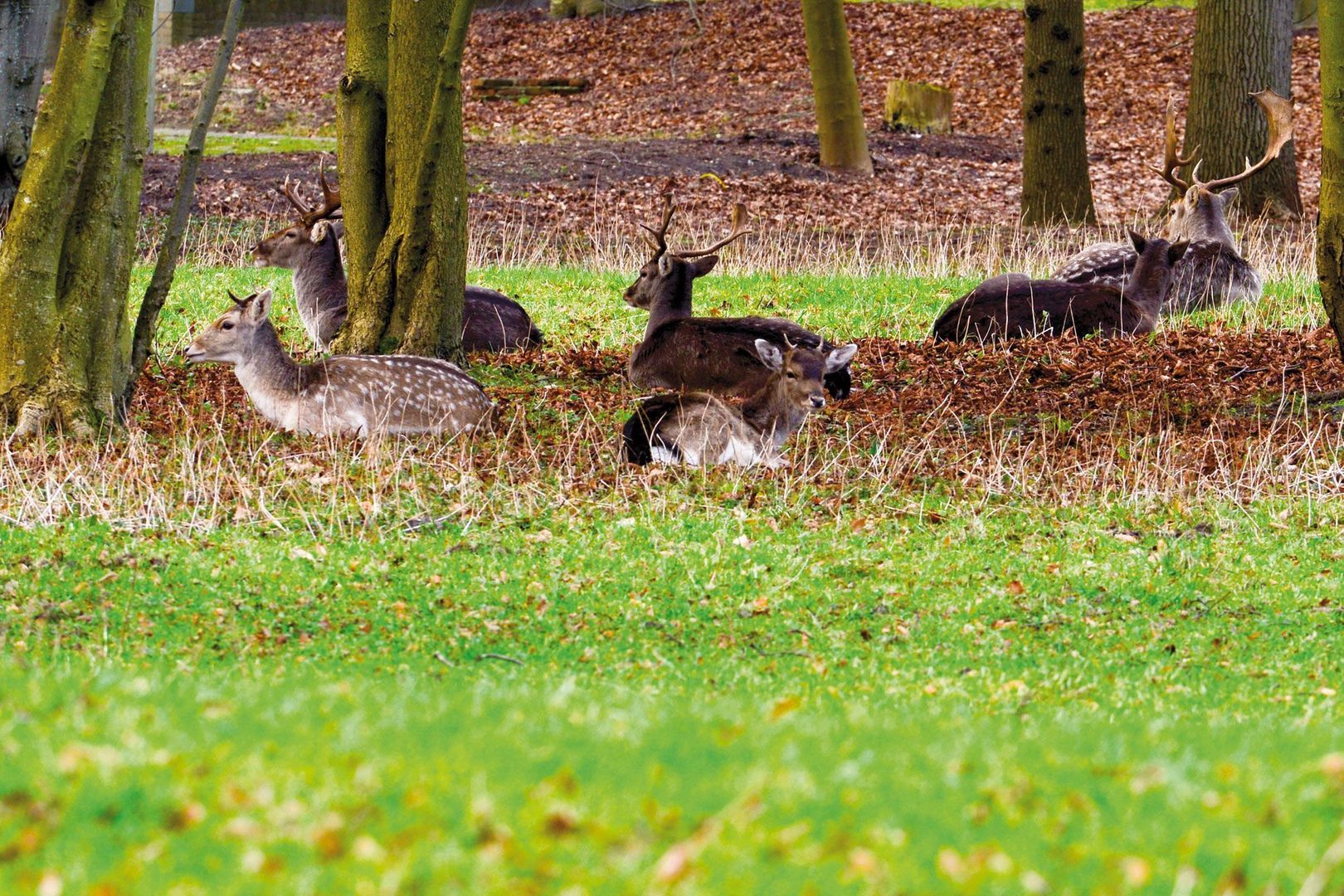 Duinlustweg 16 image 1
