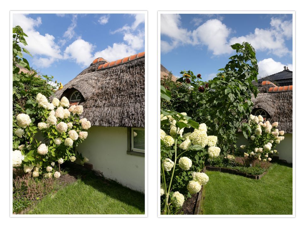 Teding van Berkhoutlaan 45 image thumbs 1