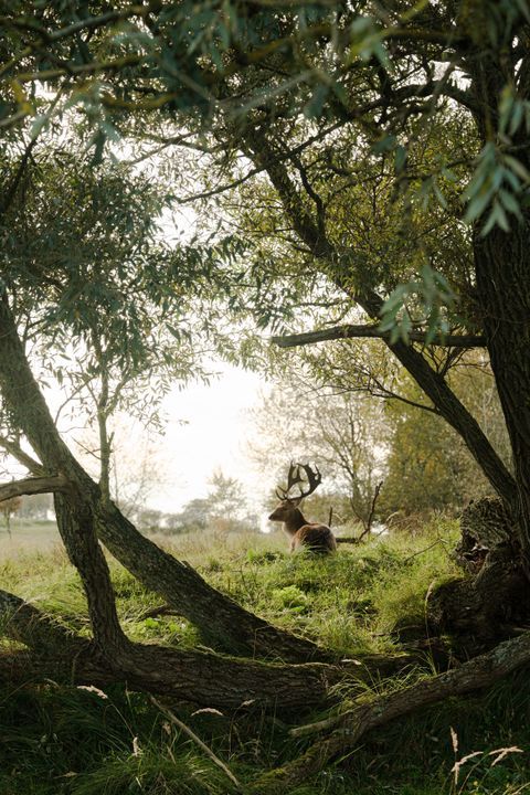 Watertorenplein 34 T11 image thumbs 1