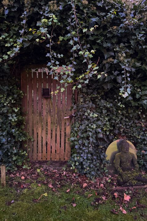 Julianaweg 59 image thumbs 1