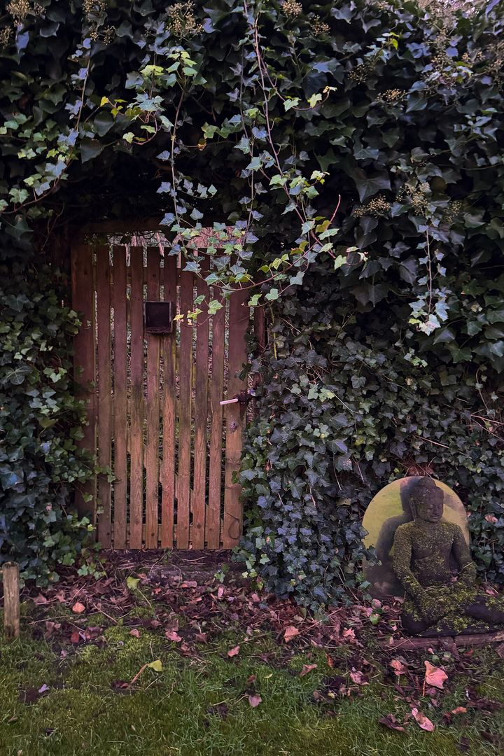 Julianaweg 59 image 1