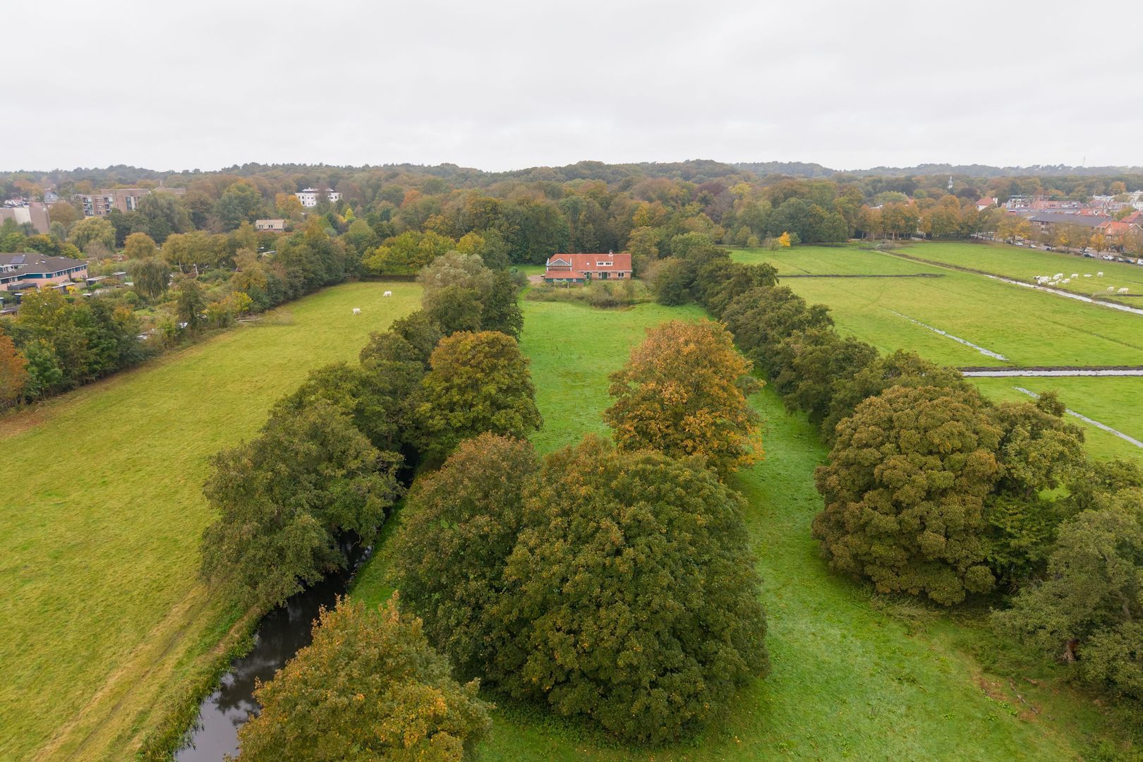 Bloemendaalseweg 177 image 1