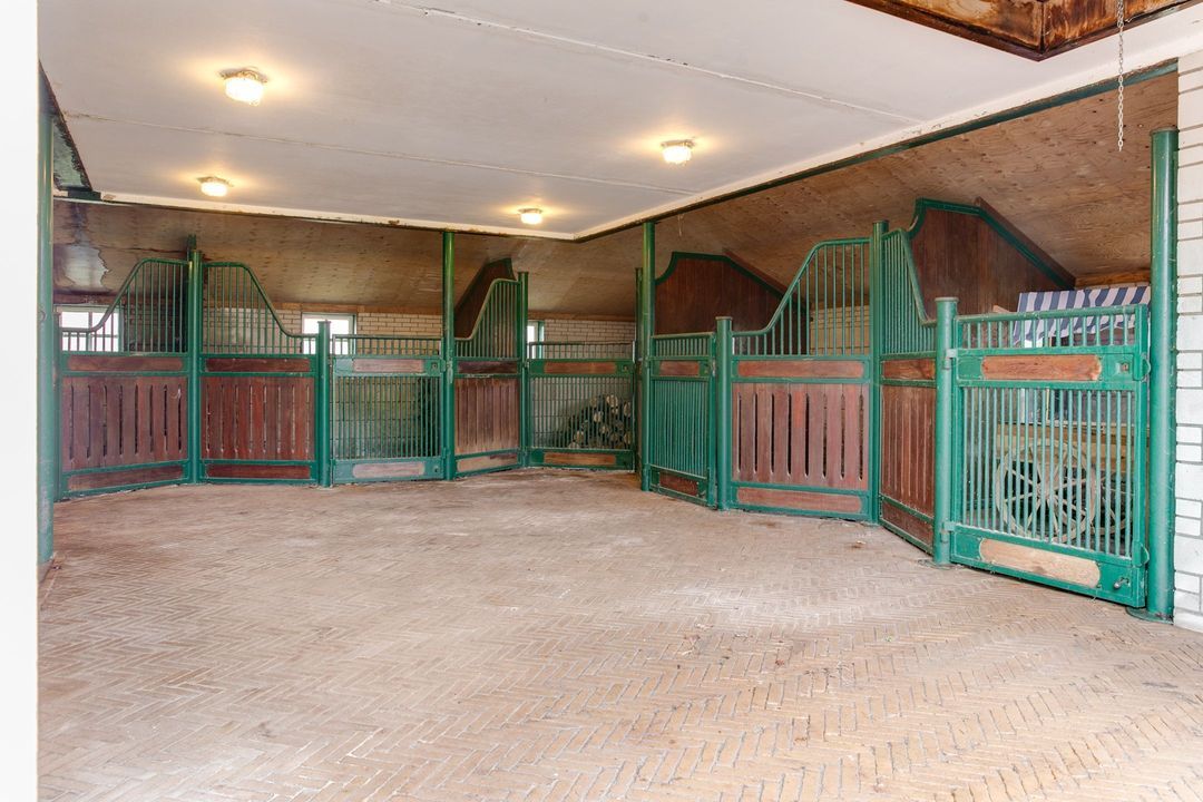 Bloemendaalseweg 177 image thumbs 1