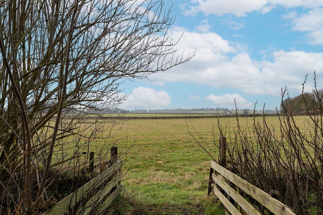 Doolhof 9 image thumbs 1