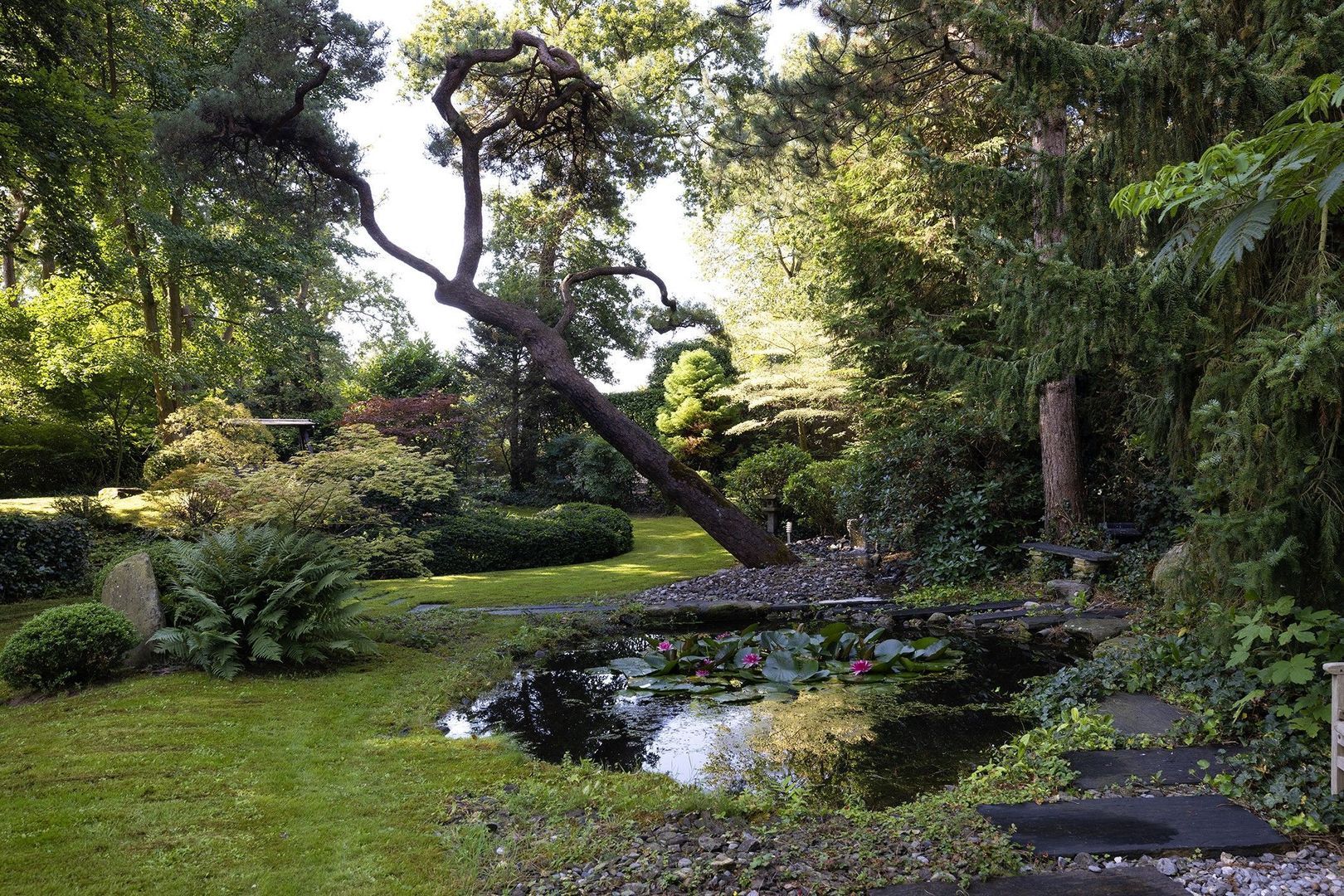 Kleine Sparrenlaan 1 image 1