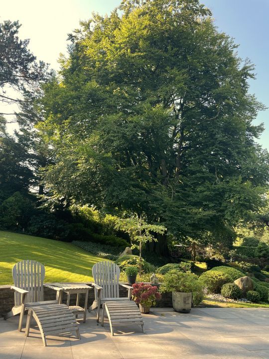 Kleine Sparrenlaan 1 image thumbs 1