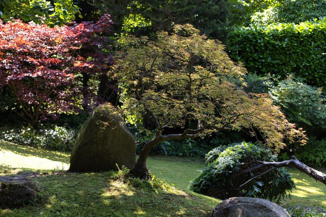 Kleine Sparrenlaan 1 image thumbs 1