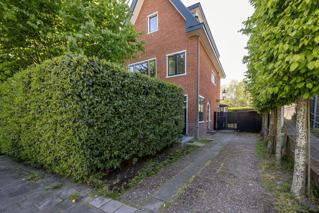 Jan Willem Frisolaan 2 image thumbs 1