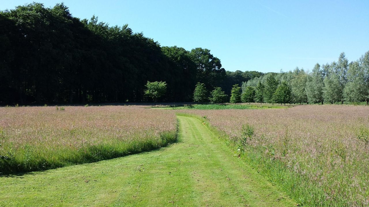 Lage Lochemseweg 33 a image thumbs 1