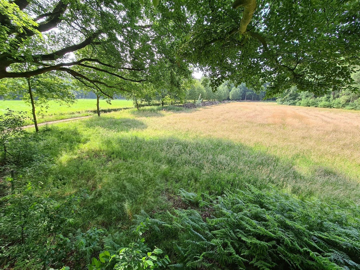 Lage Lochemseweg 33 a image 1