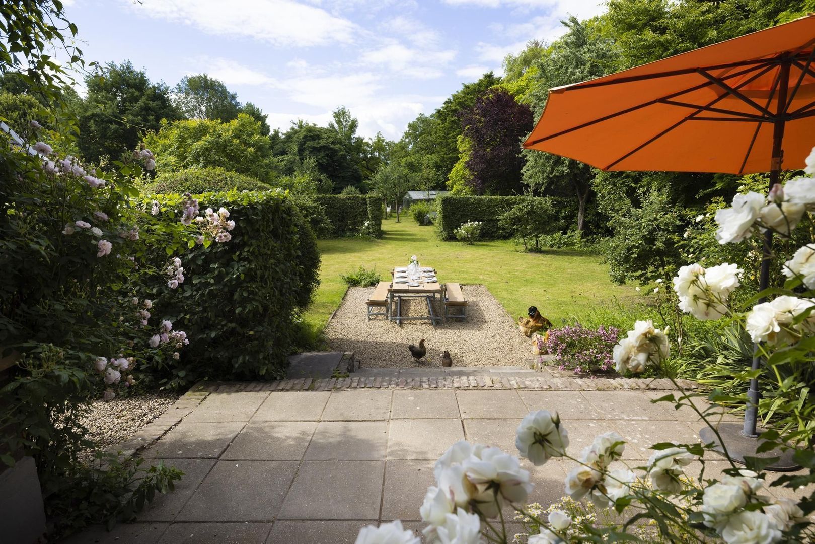 Haardijk 3 image 1