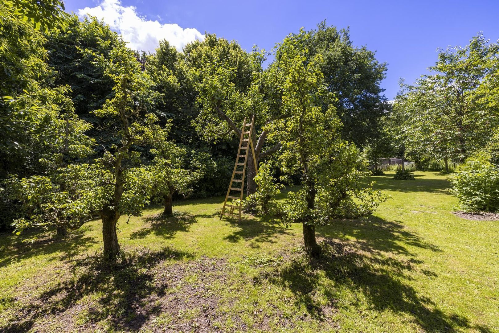 Haardijk 3 image 1