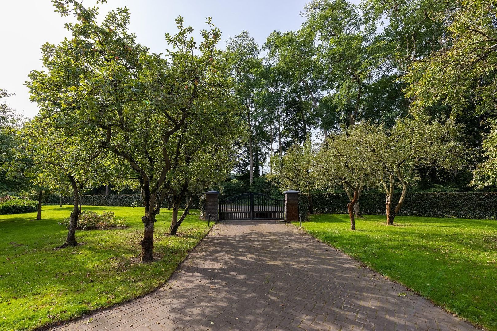 Dortherdijk 16 image 1