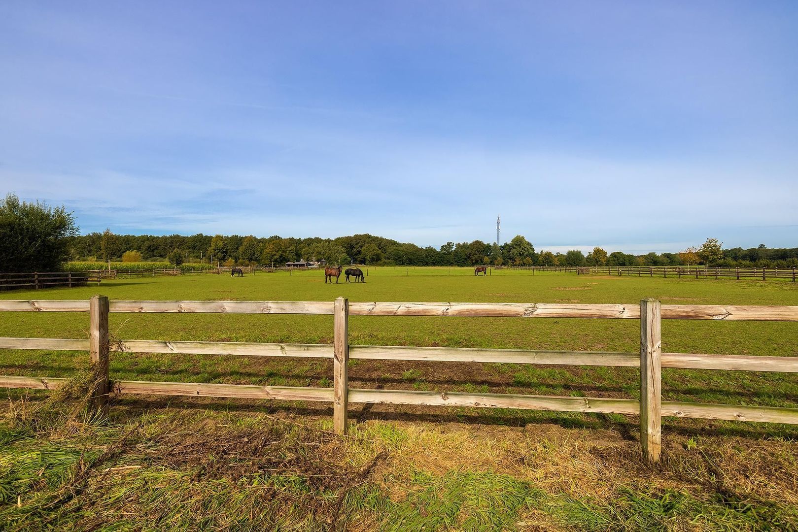 Dortherdijk 16 image 1