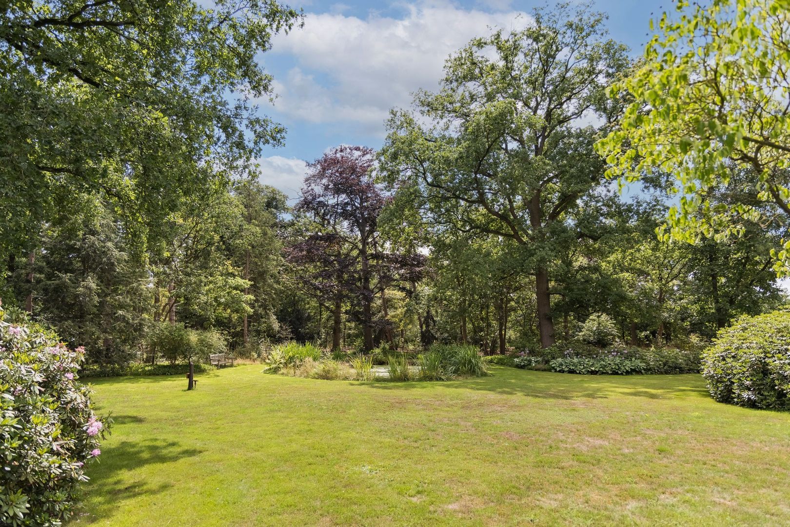 Oude Tolweg 3 image 1