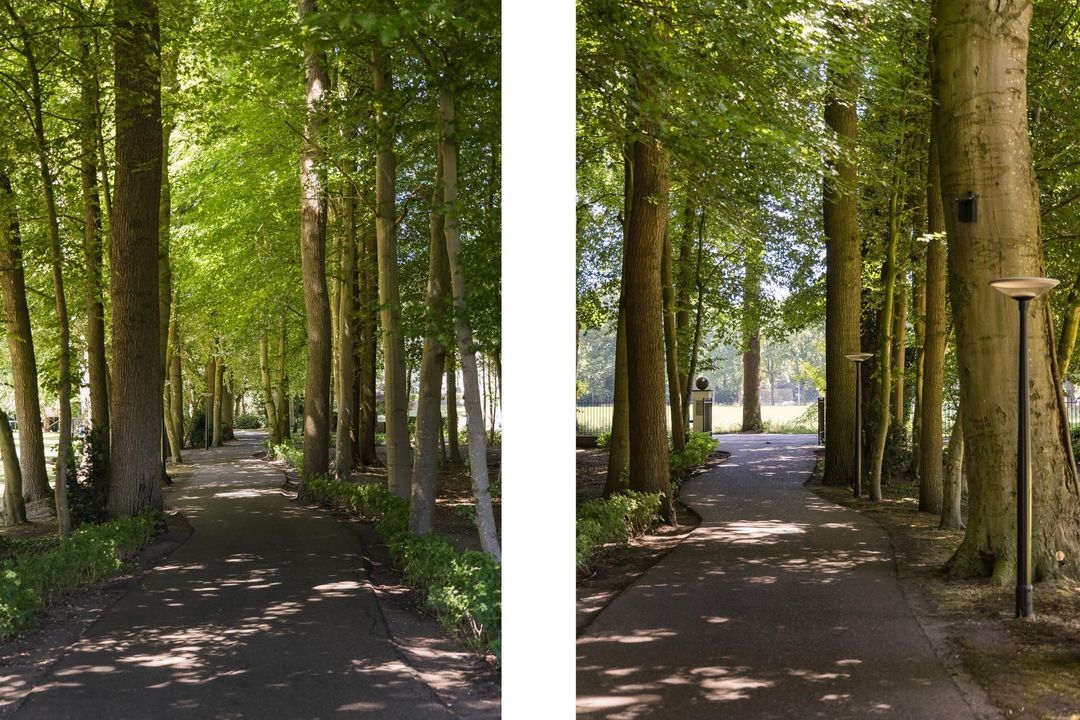 Weg over de Plaats 4 image thumbs 1