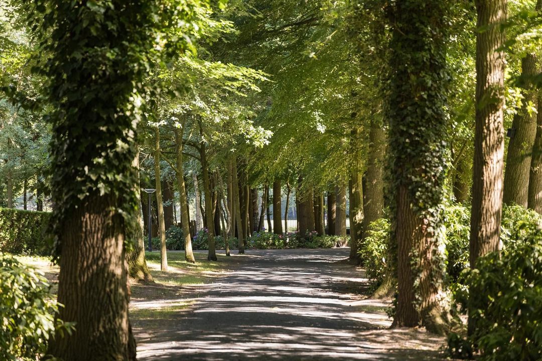 Weg over de Plaats 4 image thumbs 1