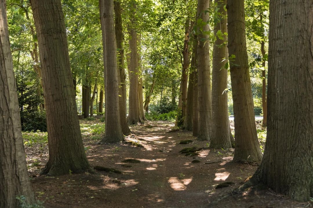Weg over de Plaats 4 image thumbs 1