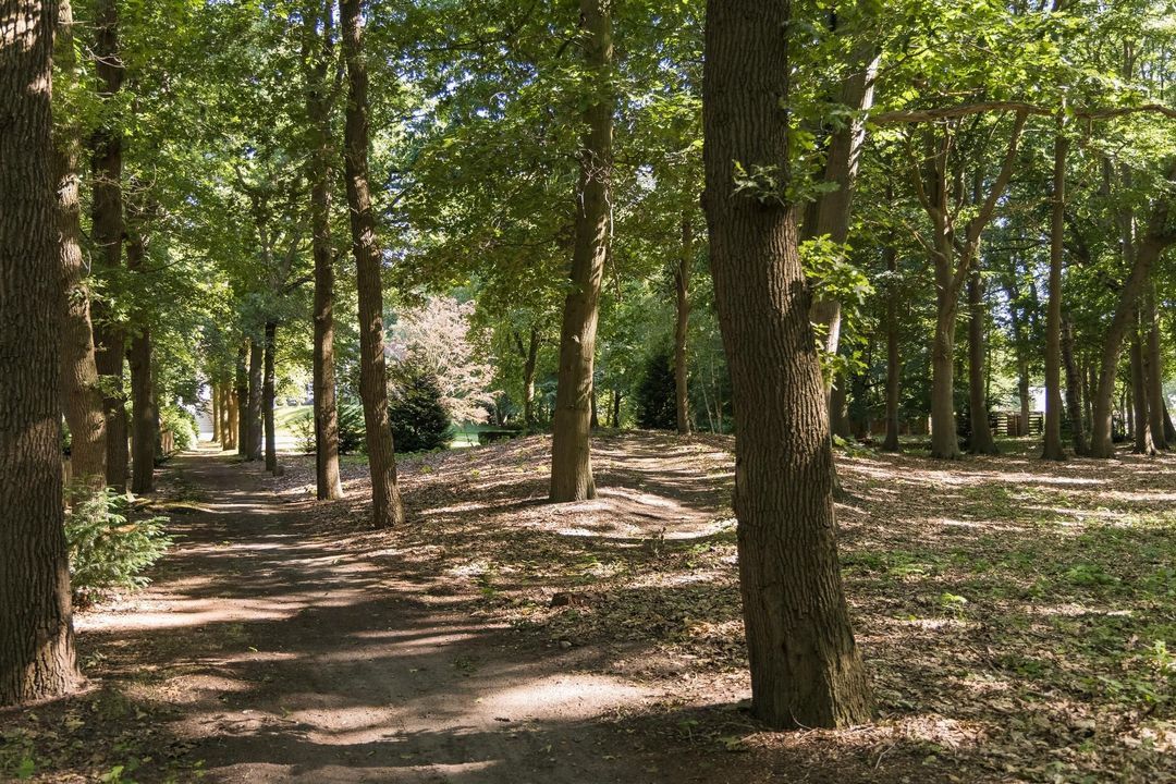 Weg over de Plaats 4 image thumbs 1