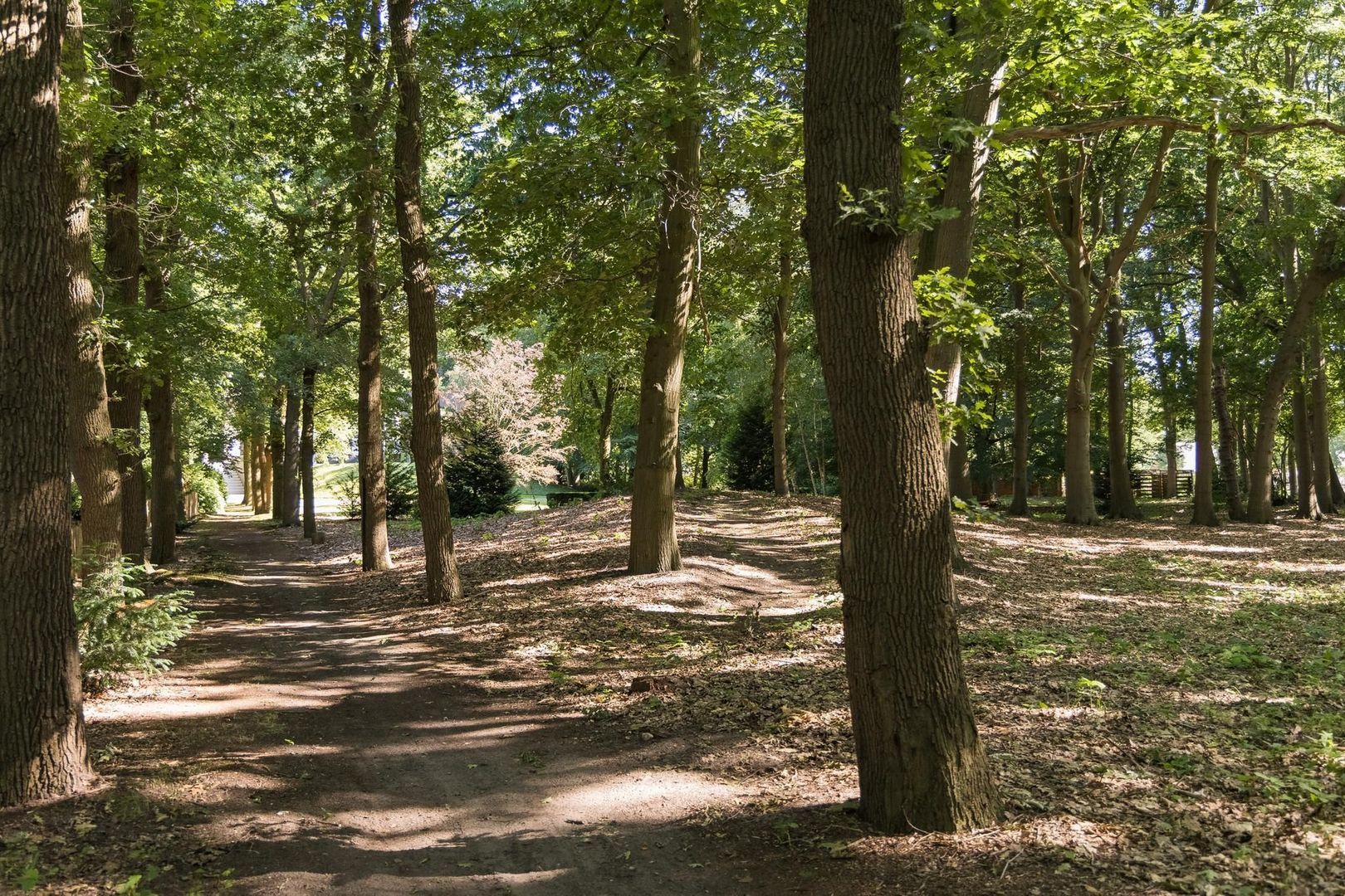 Weg over de Plaats 4 image 1