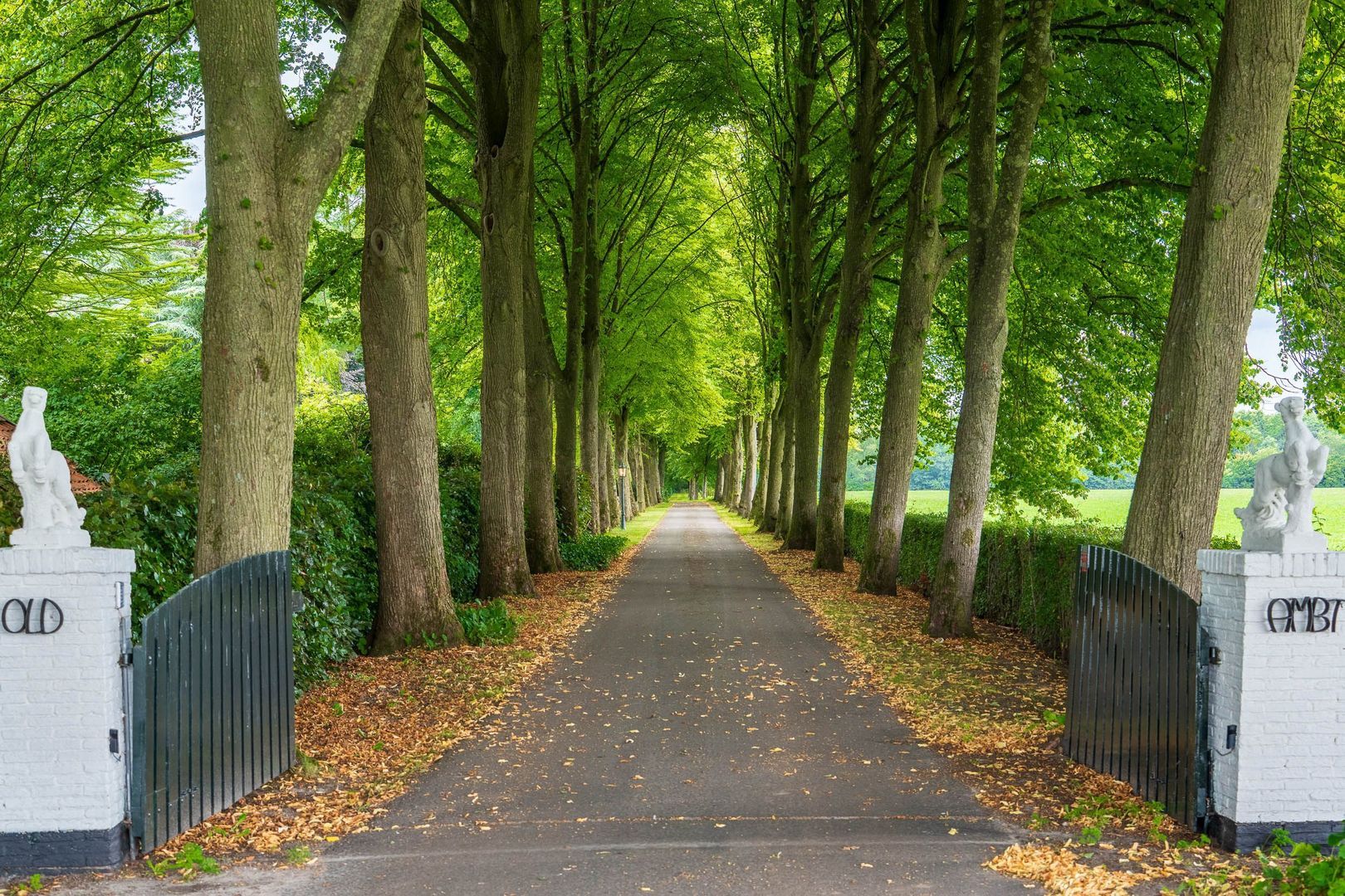 Stenendijk 8 image 1