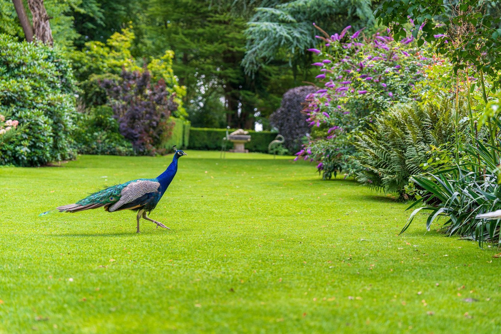 Stenendijk 8 image 1