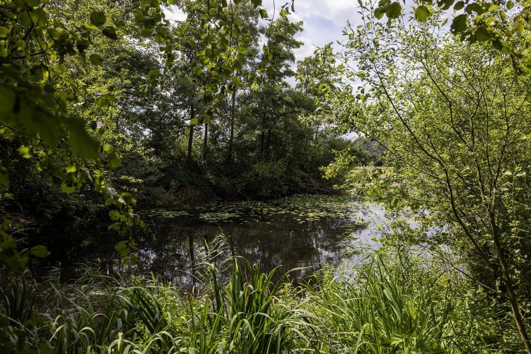 Stenendijk 8 image thumbs 1