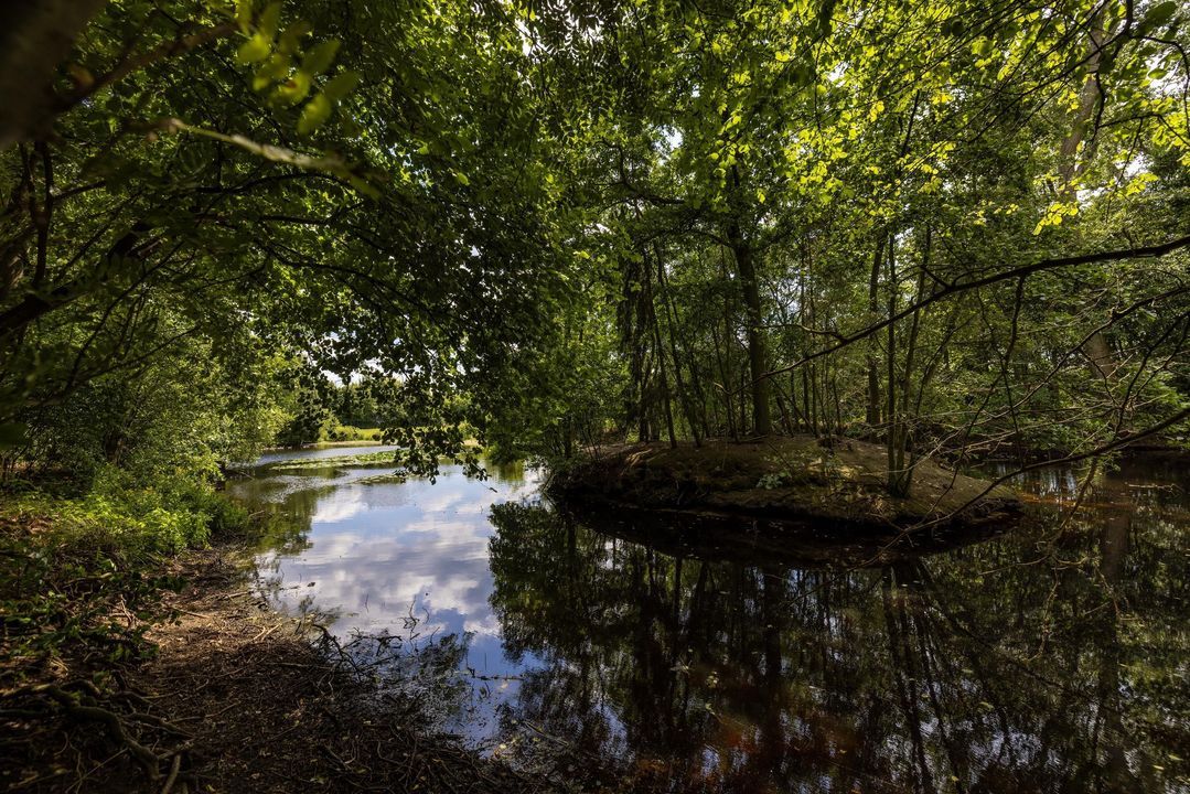 Stenendijk 8 image thumbs 1