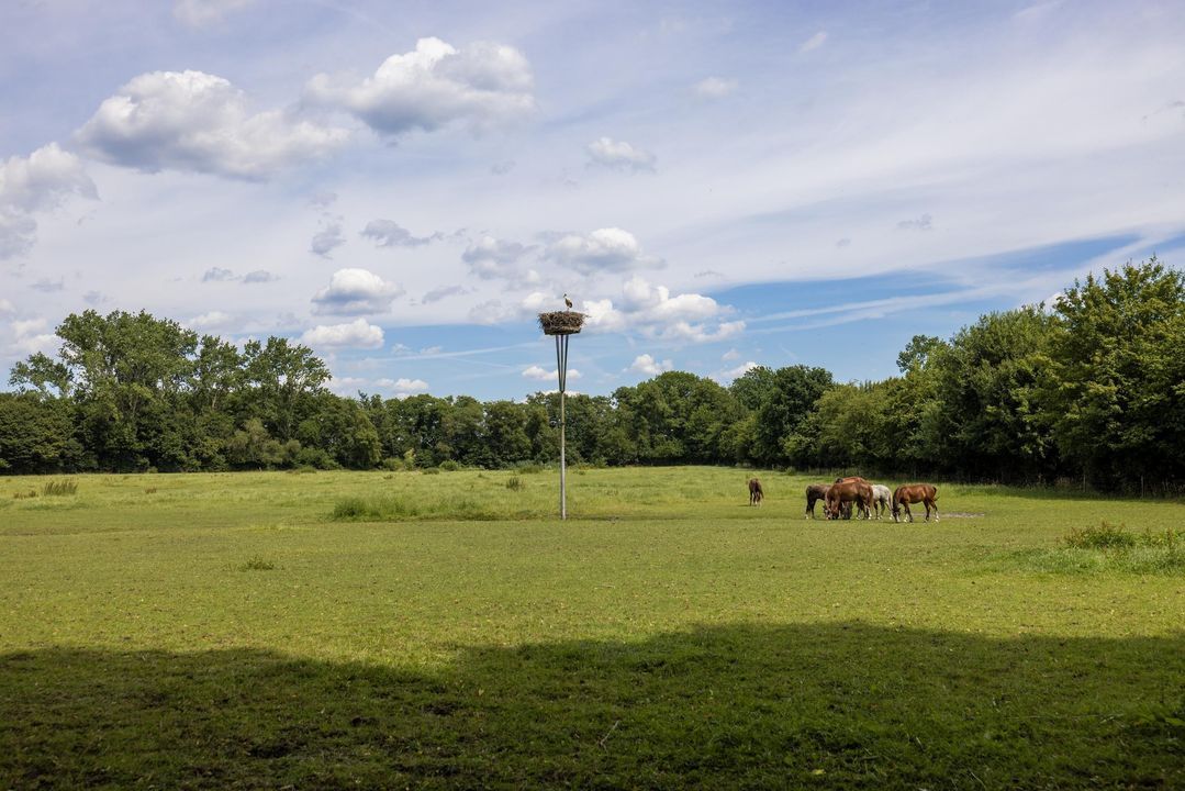 Stenendijk 8 image thumbs 1