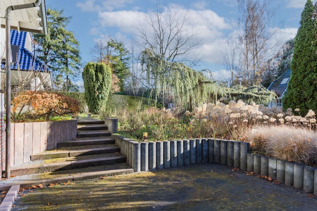 Falkenburgerf 1 image thumbs 1