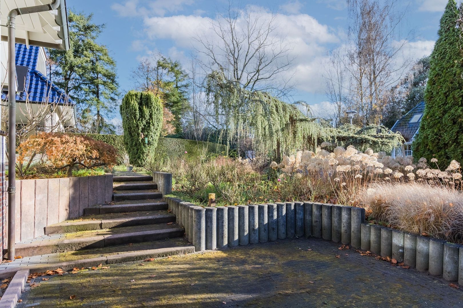 Falkenburgerf 1 image 1