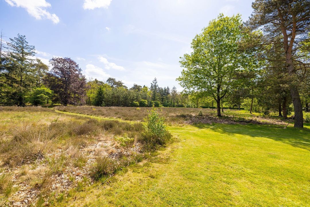 Oude Tolweg 3 image thumbs 1