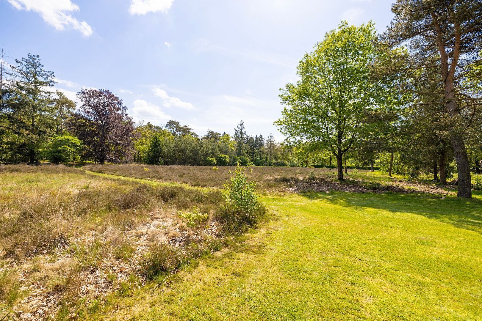 Oude Tolweg 3 image 1