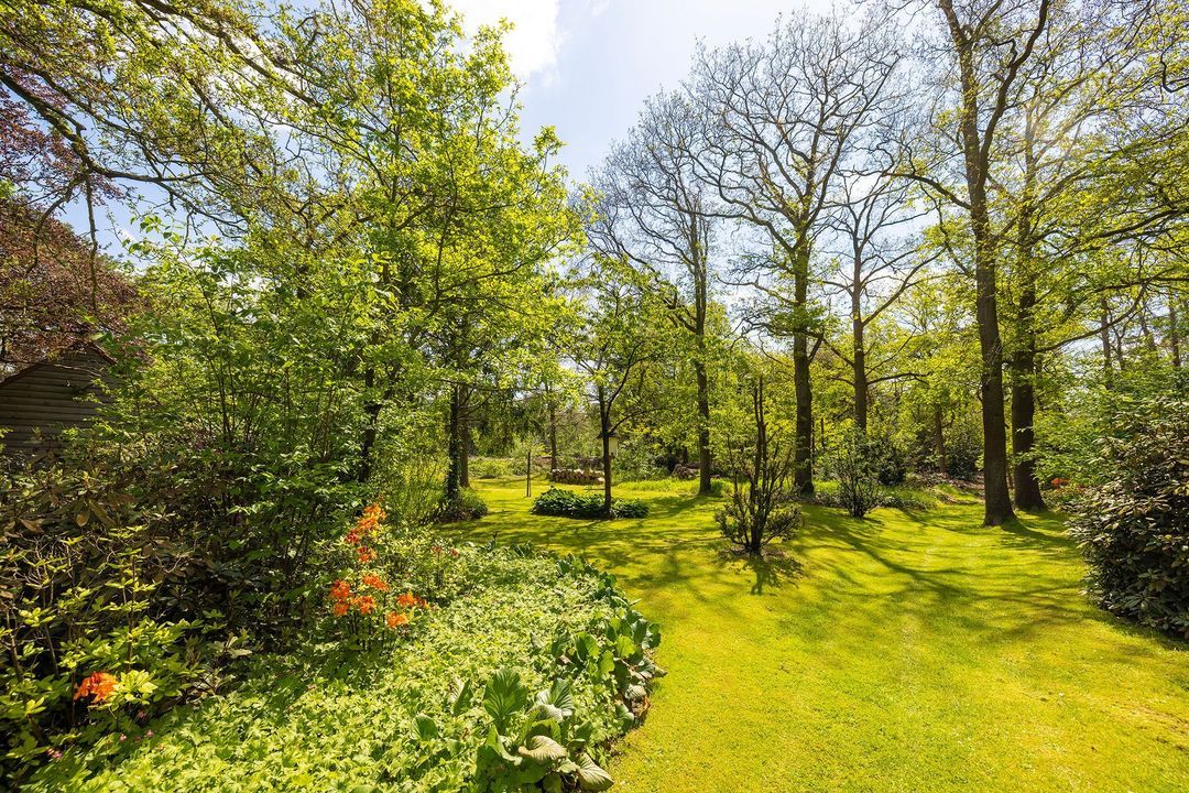 Oude Tolweg 3 image thumbs 1