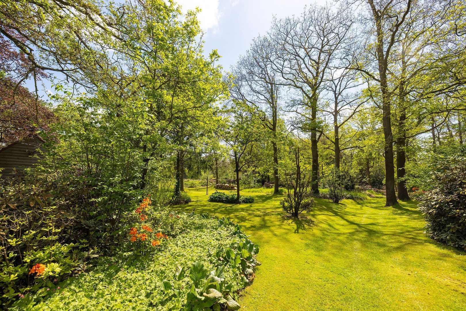 Oude Tolweg 3 image 1