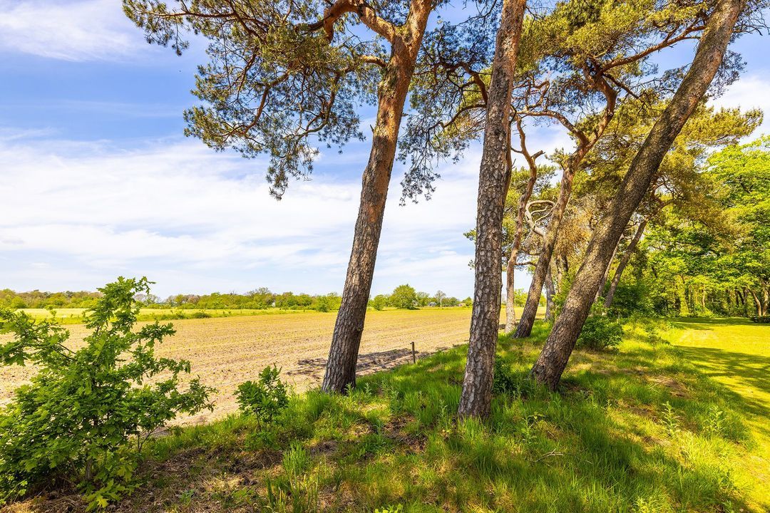 Oude Tolweg 3 image thumbs 1