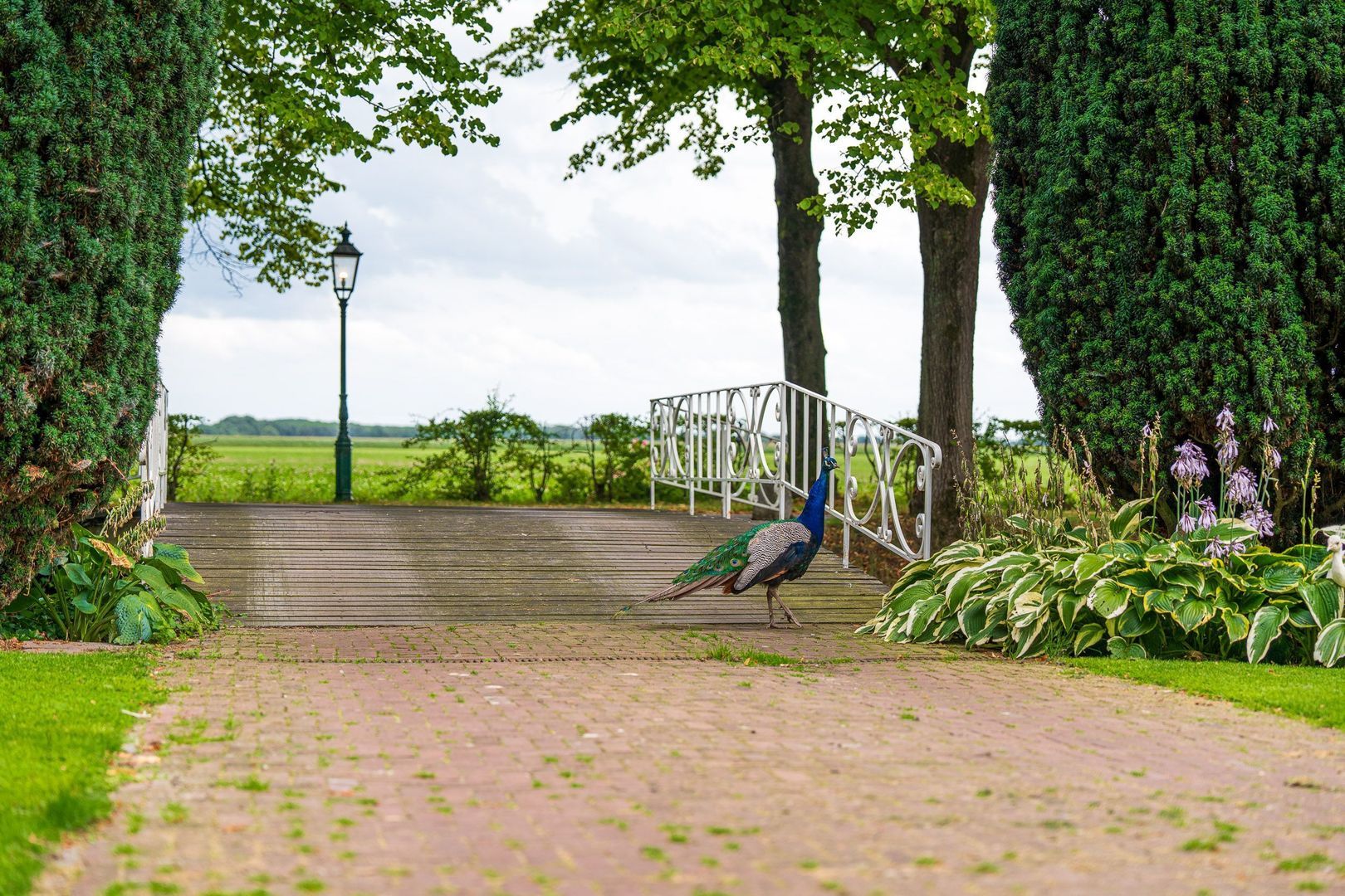 Stenendijk 8 image 1