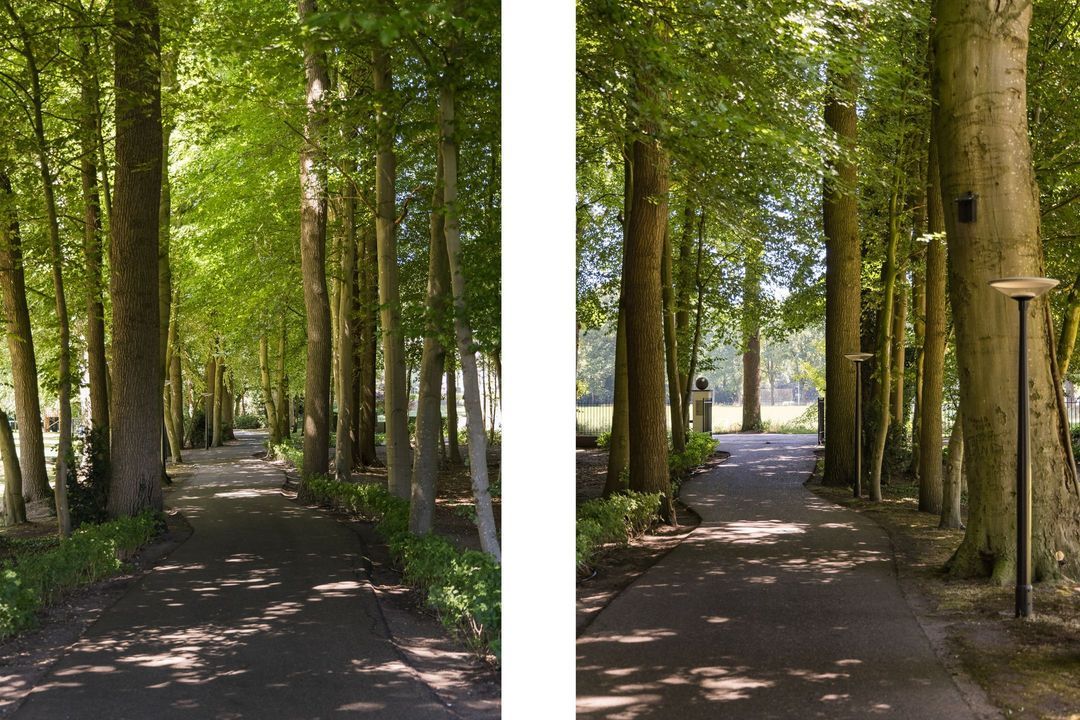 Weg over de Plaats 4 image thumbs 1
