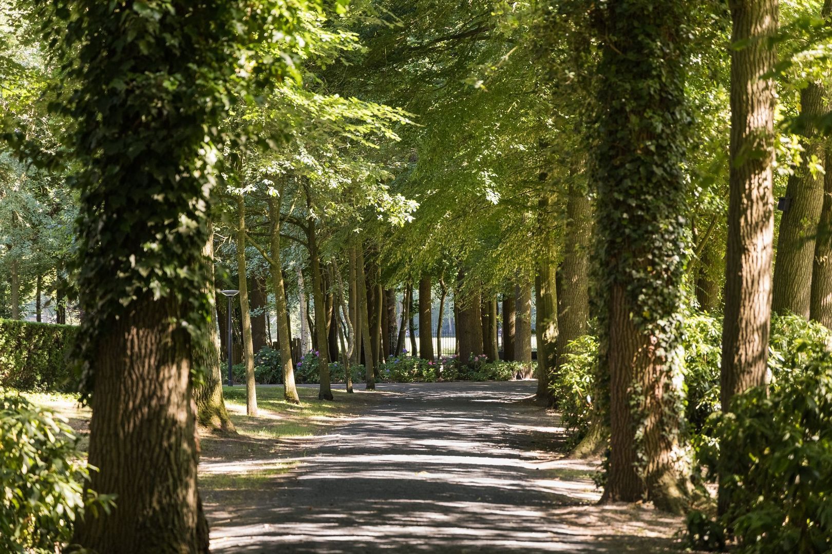 Weg over de Plaats 4 image 1
