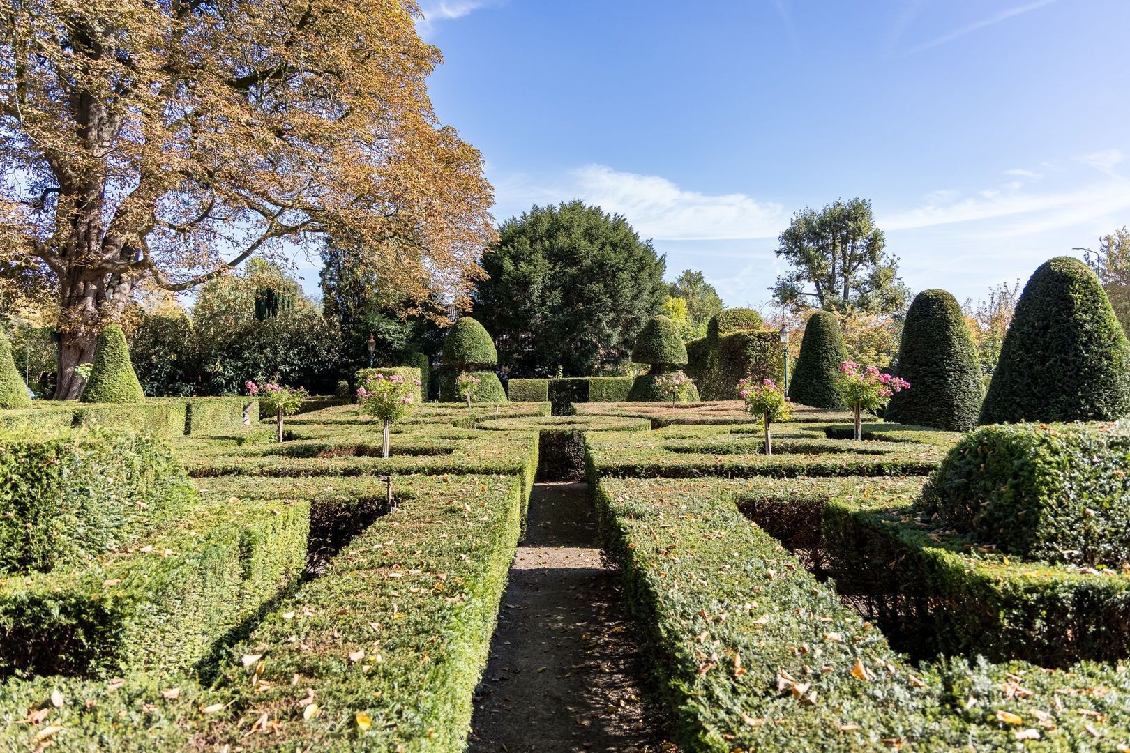 van Heemstraweg 58 image 1