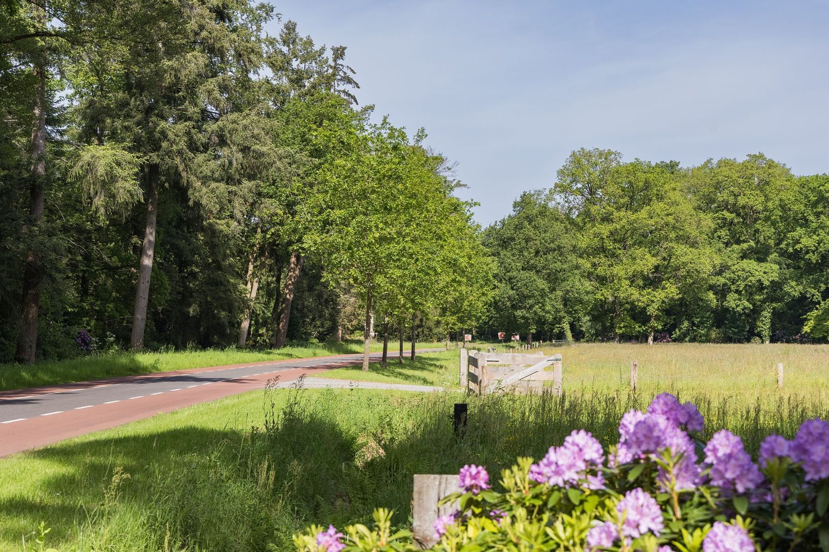 Strootsweg 390 image 1