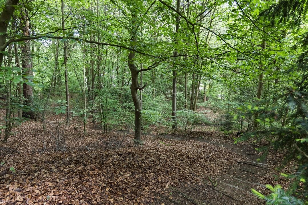 Jan Dommer van Poldersveldtweg 4 image thumbs 1