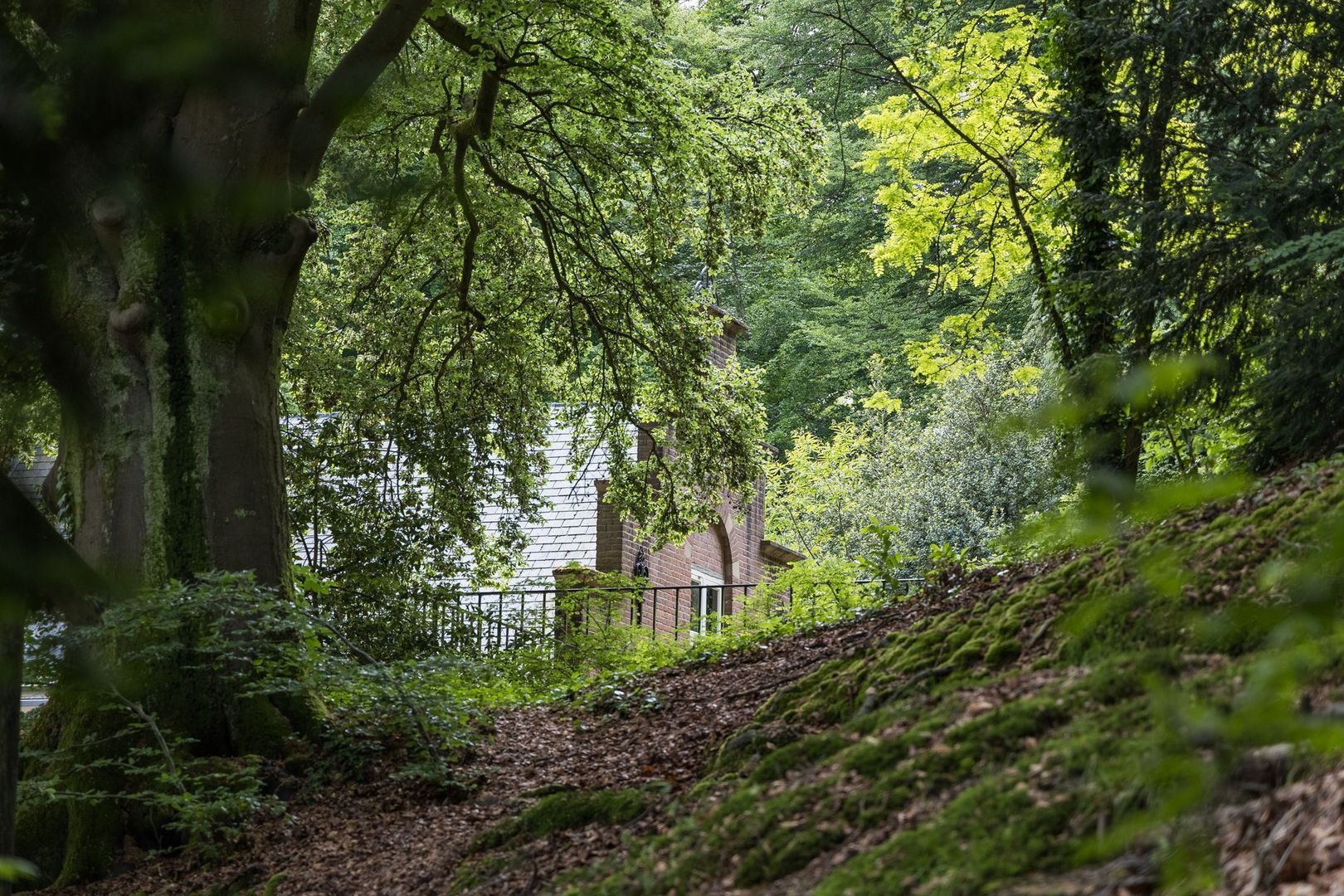 Jan Dommer van Poldersveldtweg 4 image 1