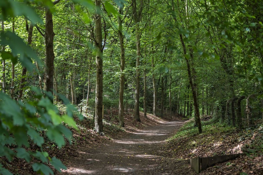 Jan Dommer van Poldersveldtweg 4 image thumbs 1