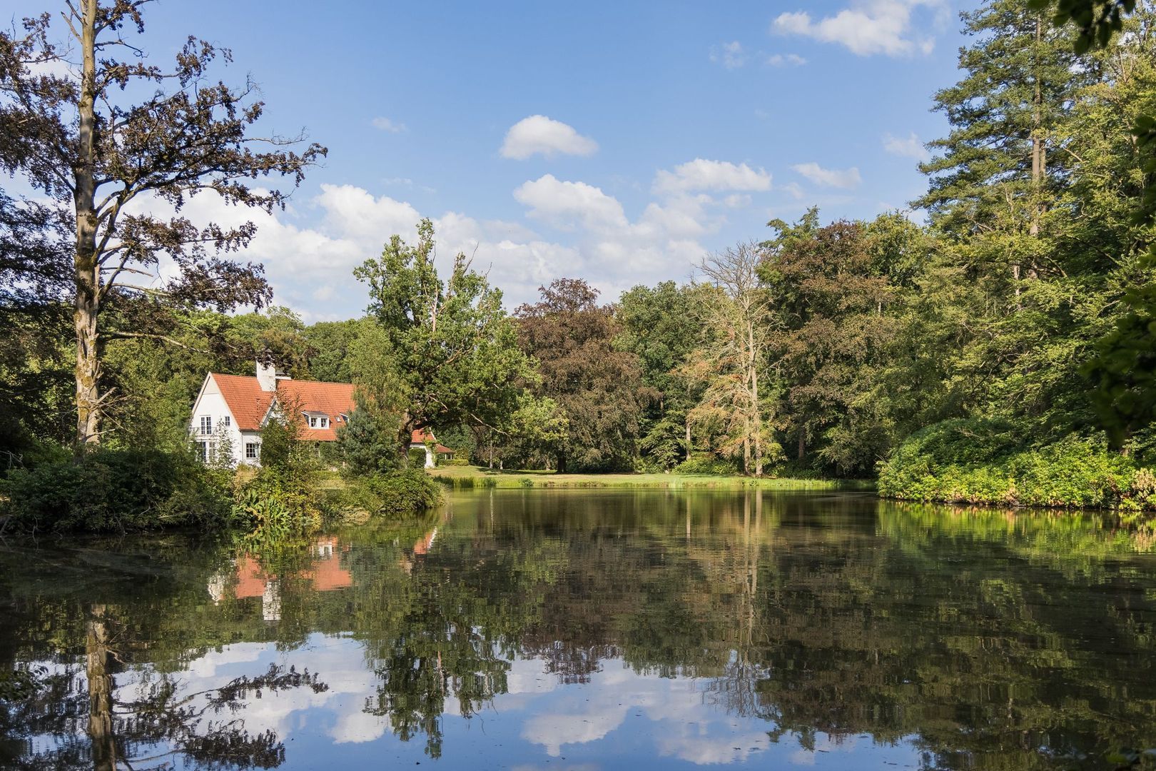 Haagsebosweg 38 image 1