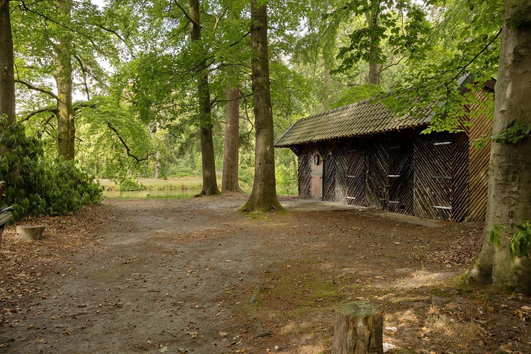 Haagsebosweg 38 image thumbs 1