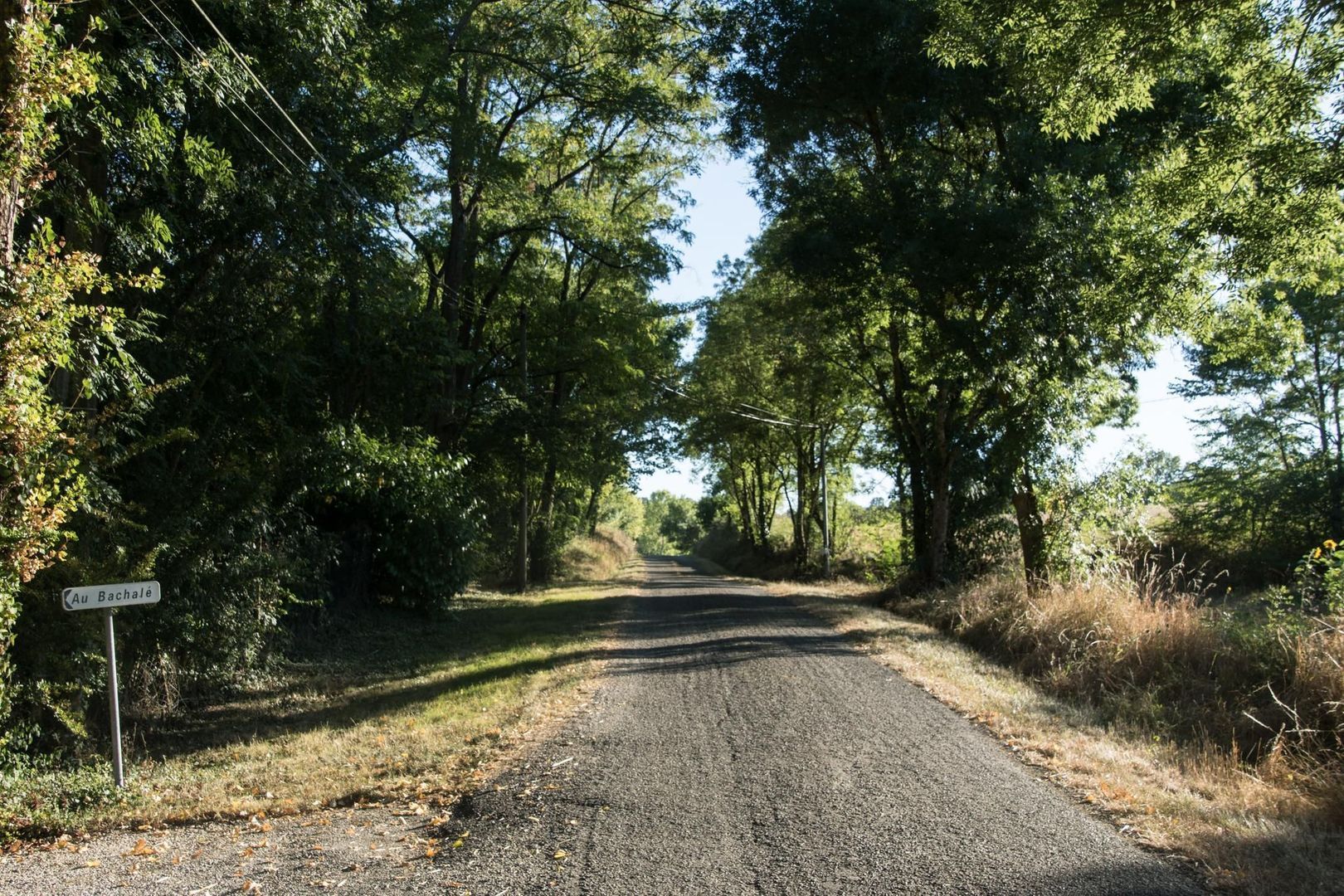 Chemin du Bachale, Jegun, Gers foto-49