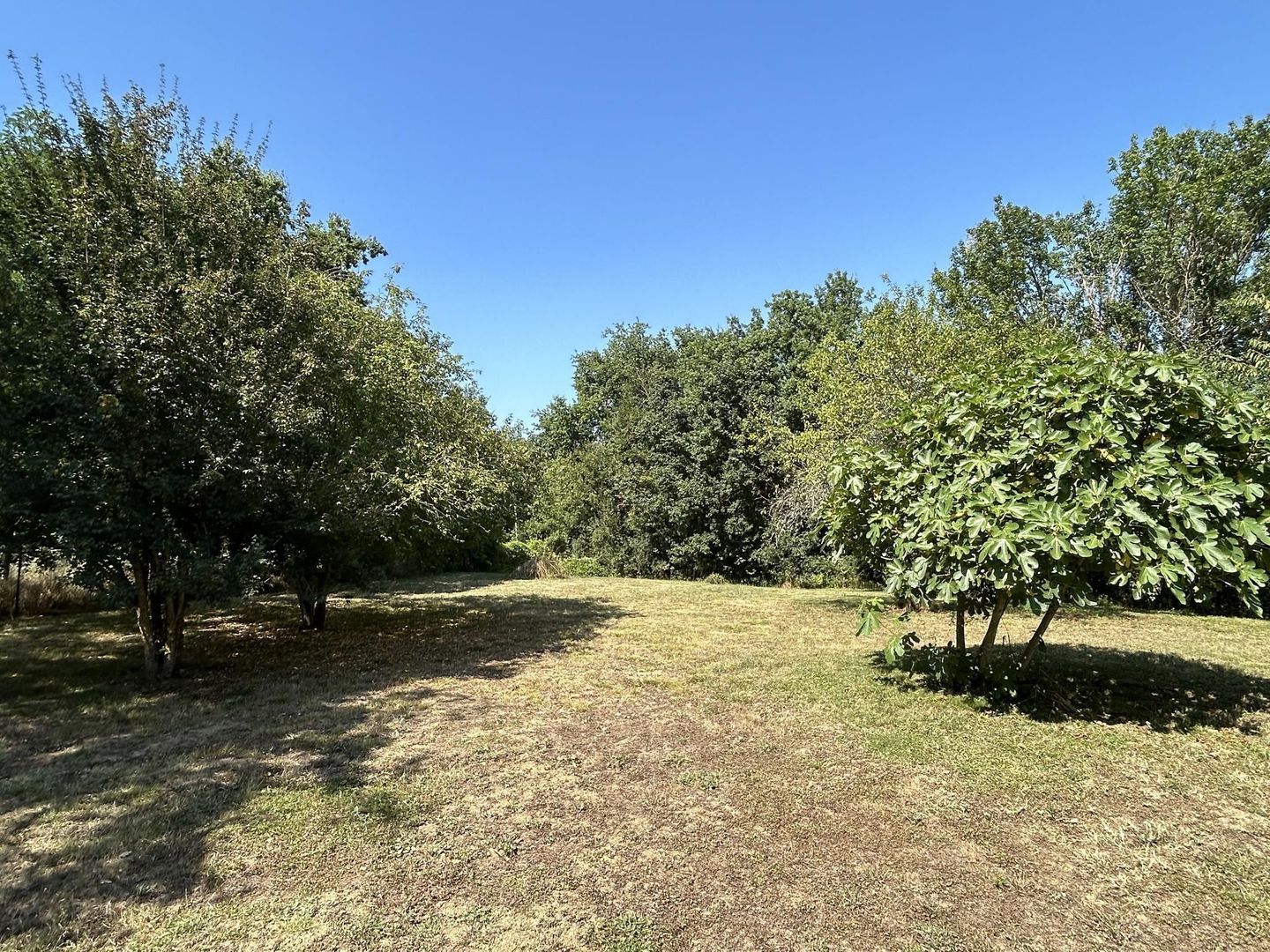 Chemin du Bachale, Jegun, Gers foto-40