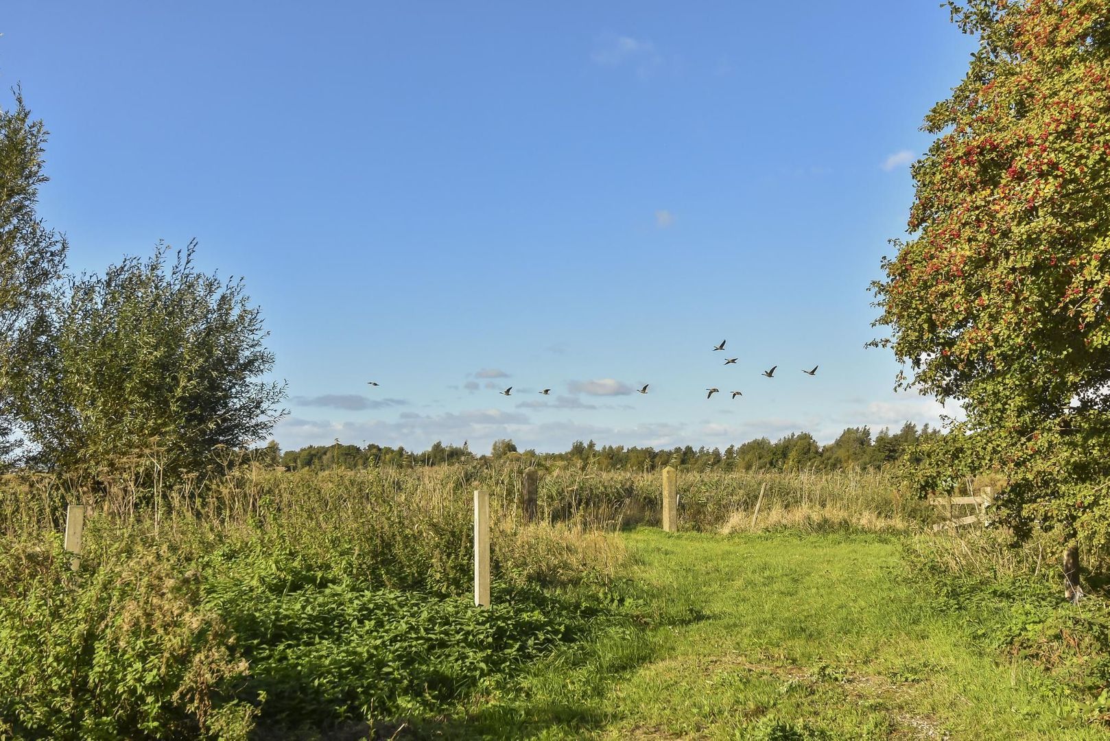 Zwetkade 8, Pijnacker foto-45
