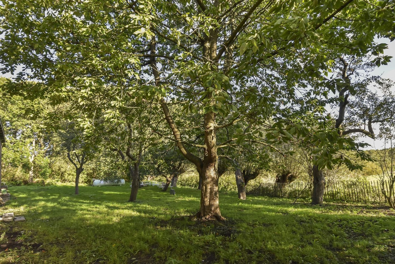Zwetkade 8, Pijnacker foto-63